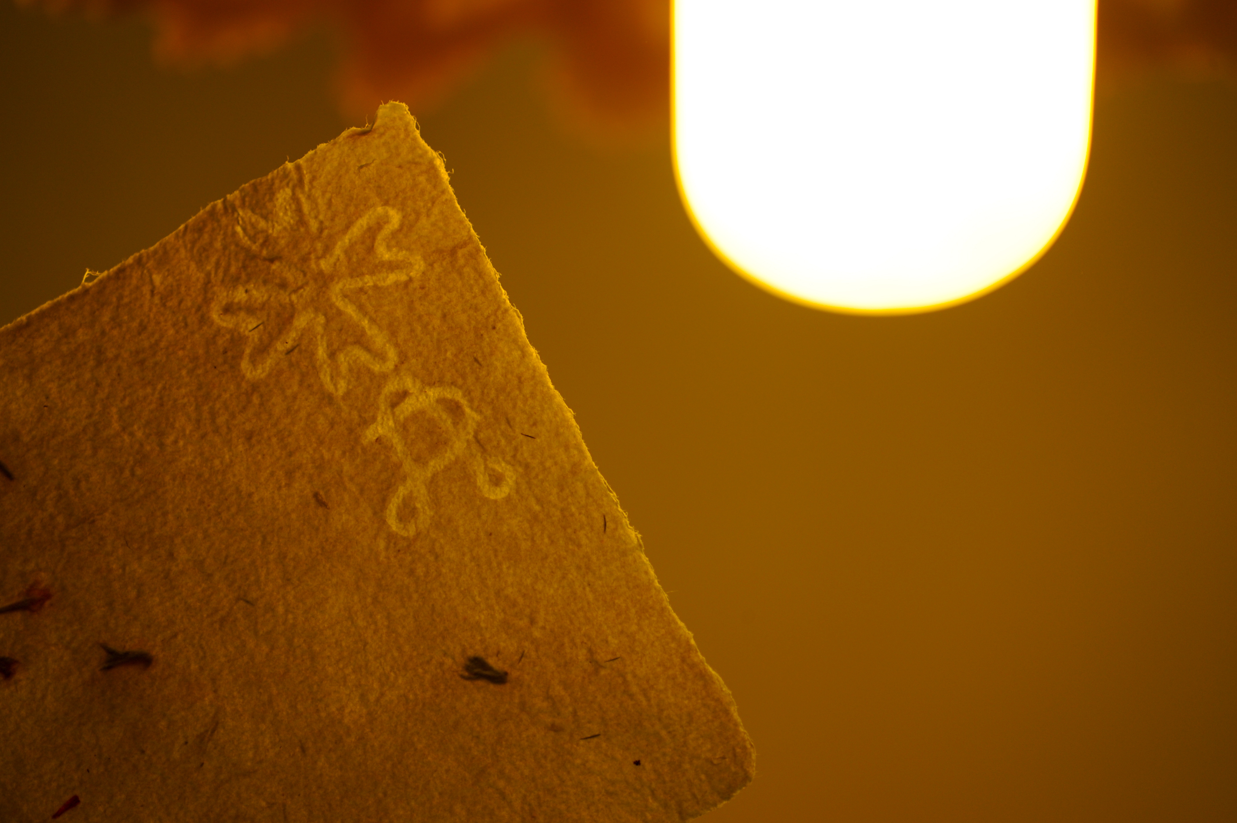 DSC_4666 Watermark; paper making; Amalfi, Italy
