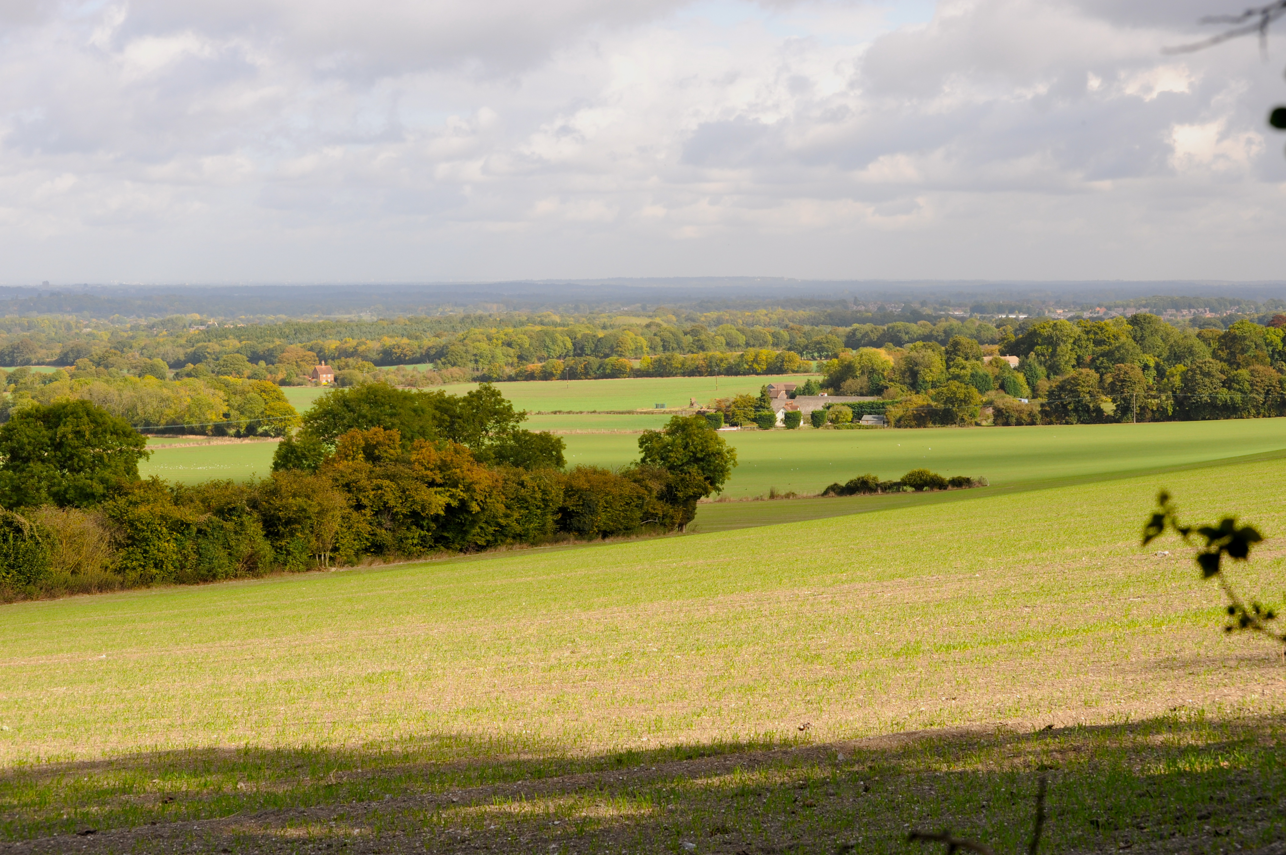 DSC_2378 Rolling fields; Surrey, England