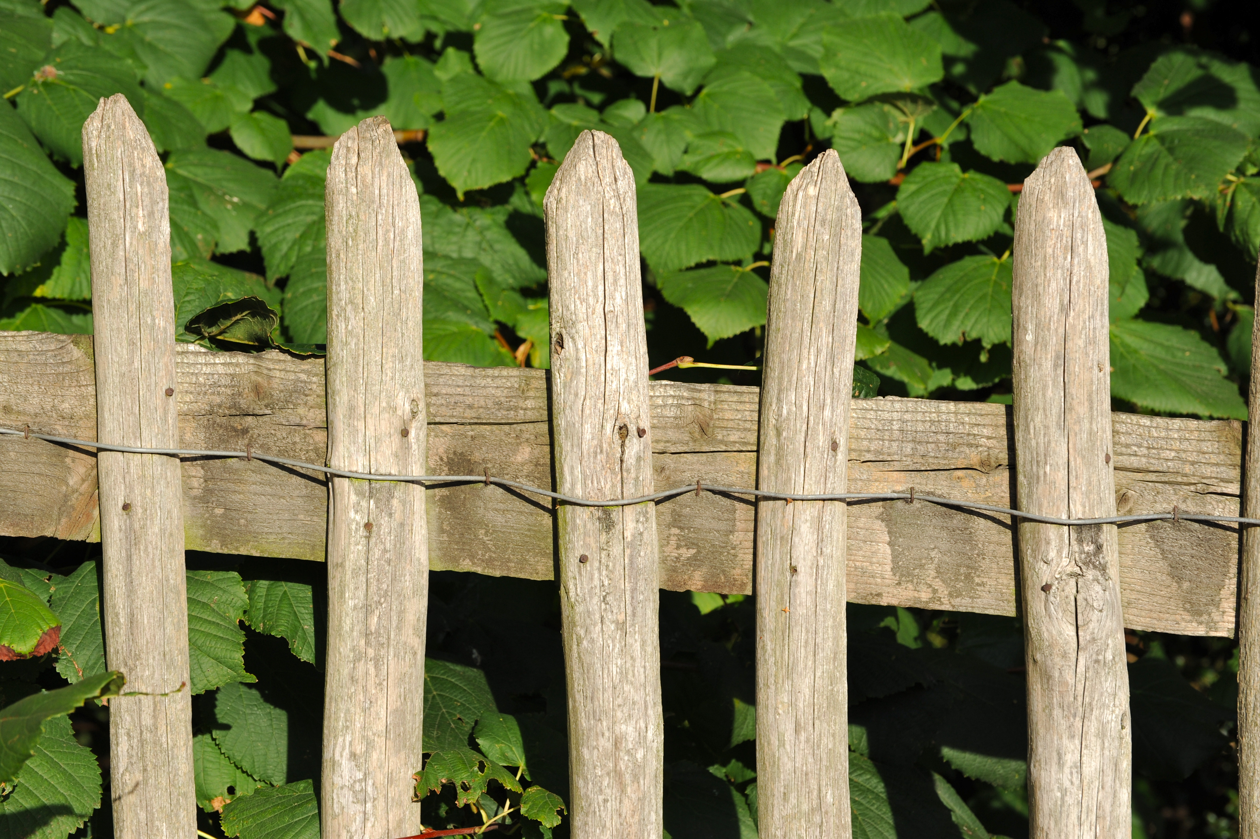 DSC_2511 Wired pickets; London, England