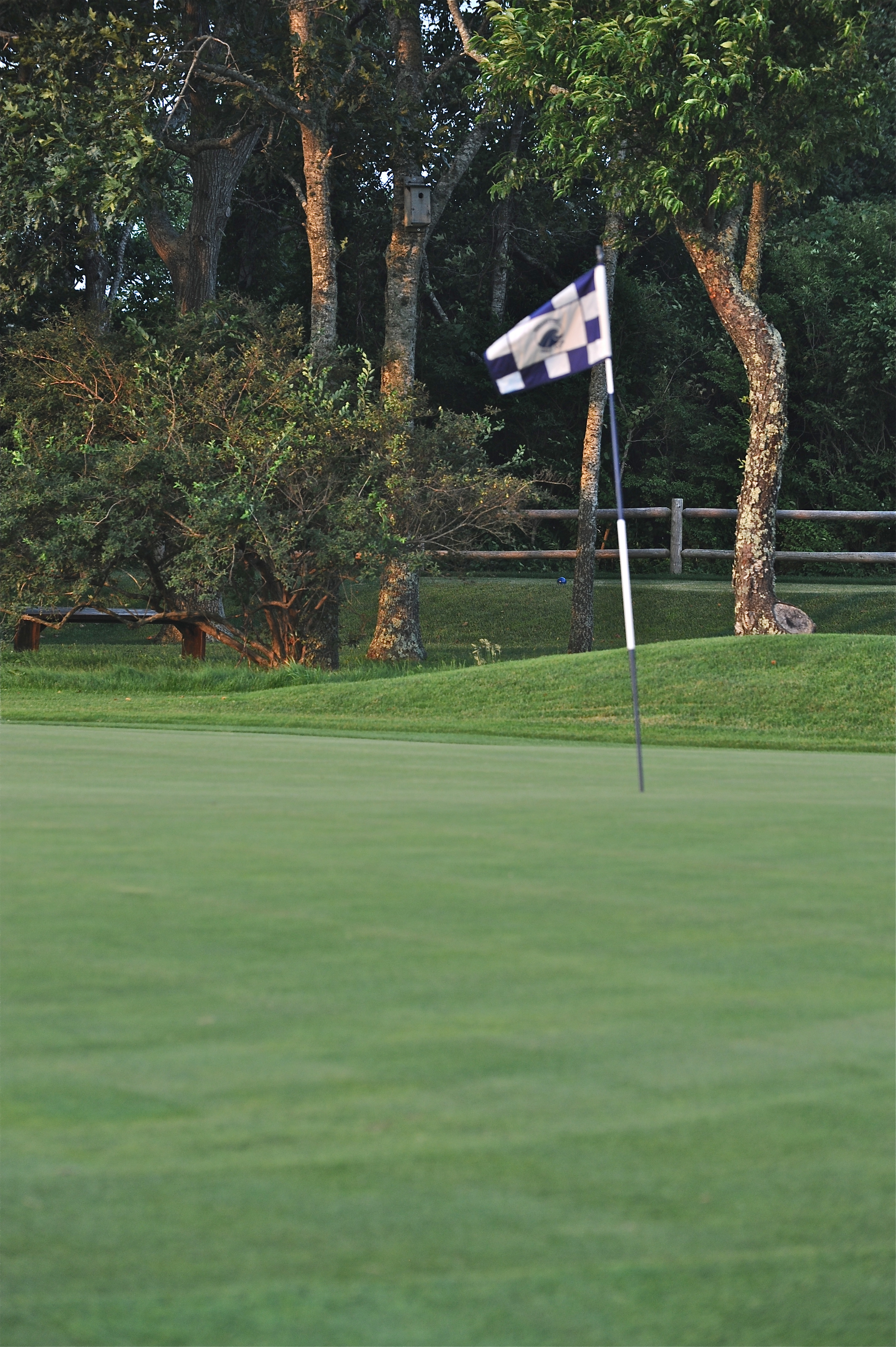 DSC_2171 Third green; Edgartown Golf Course, Martha’s Vineyard Island