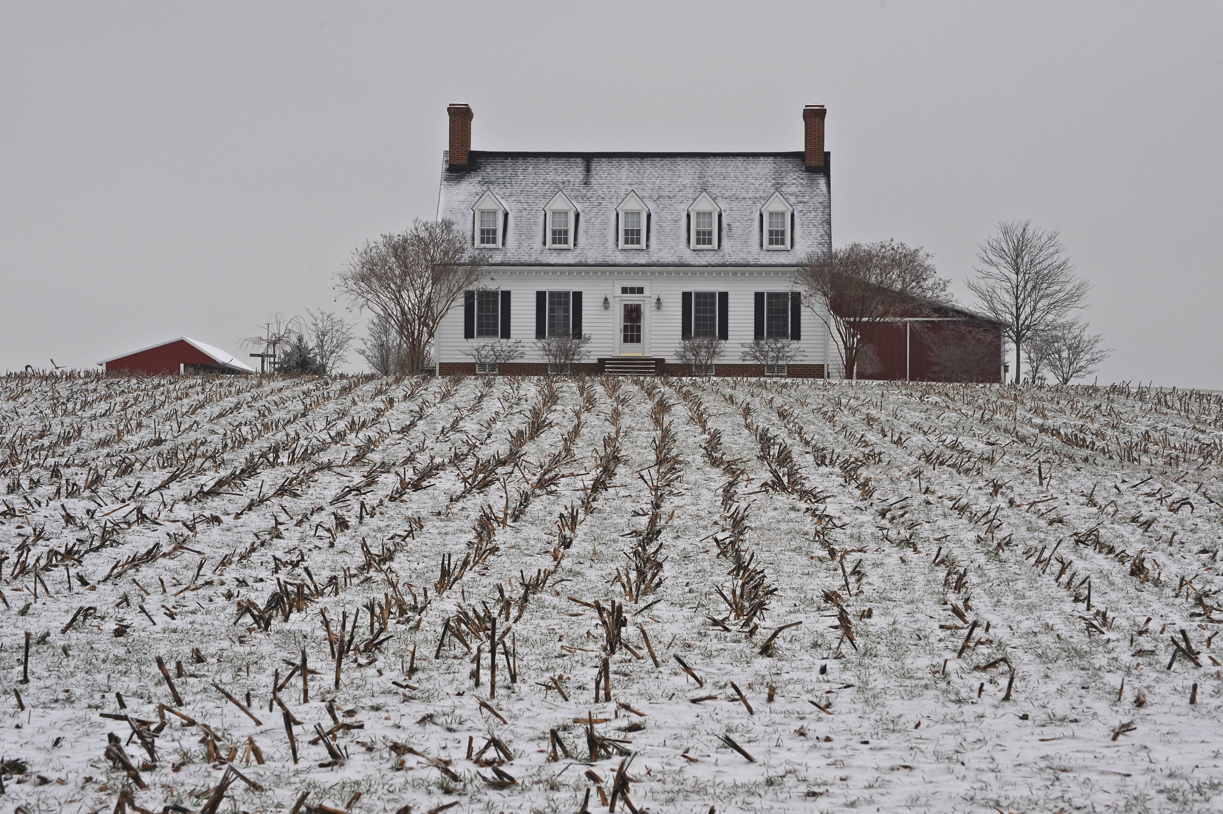 DSC_2829 Farm house, sheds in Winter; Kent County, Maryland, USA