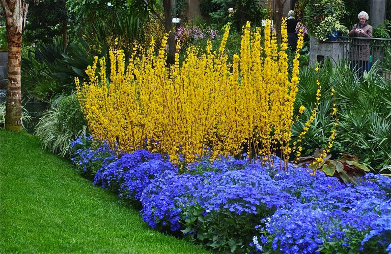 Longwood Gardens; Floral Details; Kennett Square, Pennsylvania, USA