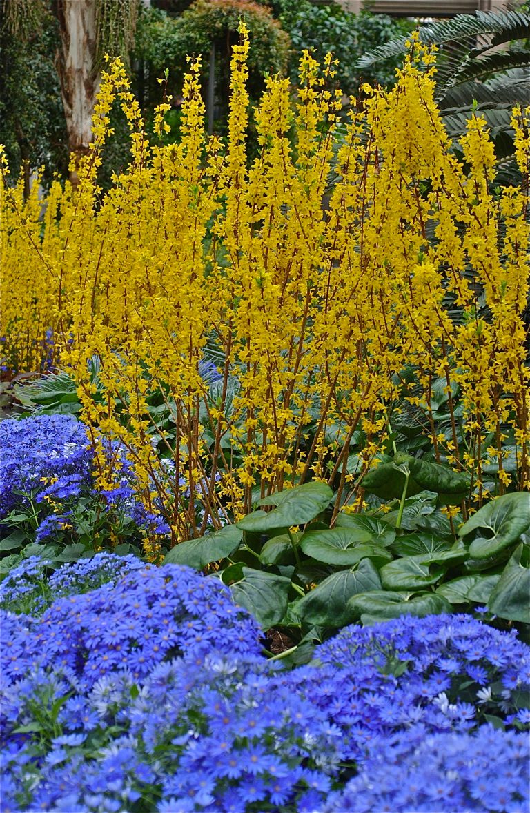 Longwood Gardens; Floral Details; Square, Pennsylvania, USA