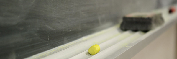 Bugs Reported in School Food