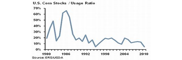 corn stocks