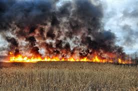 Fire in Braymer