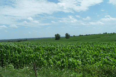 Former agriculture secretaries unite to pressure Congress to sign USMCA