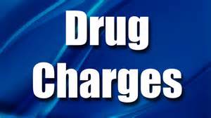 Woman Jailed For Drugs In Grundy County