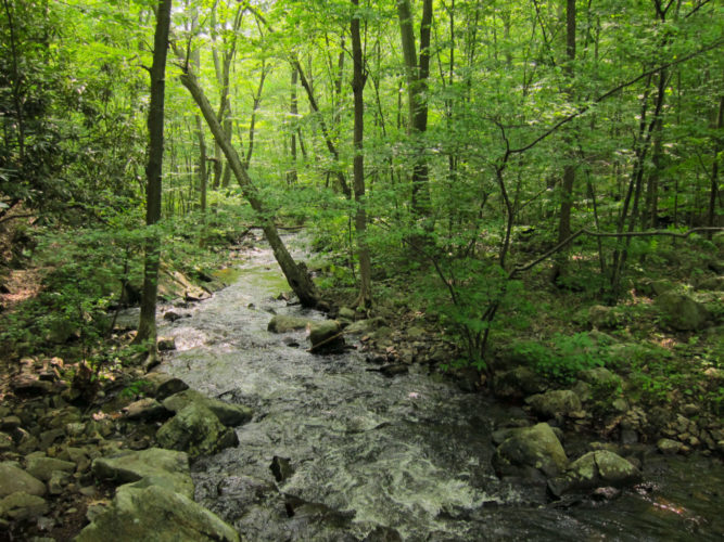 Explore the great outdoors with MDC’s Discover Nature Program