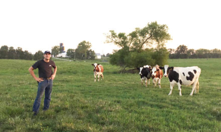 Dairy industry feels the squeeze; Dean Foods and Borden file Chapter 11-part 2