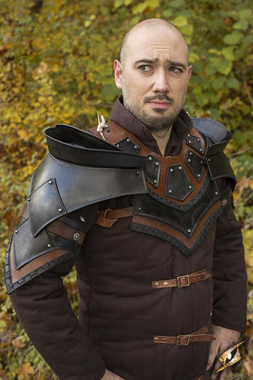 Rogue Neck And Shoulders Plate And Leather Pauldrons Arm Armor And Gorget Rogue Neck And Shoulders Plate And Leather Pauldrons Arm Armor And Gorget