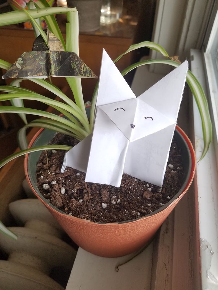 VIRTUAL EVENT: Wildlife Origami with Ranger Kelly Q. at 1pm Eastern ...