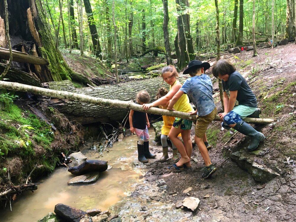 bloomsbury-farms-summer-camp-2025-kids-out-and-about-nashville