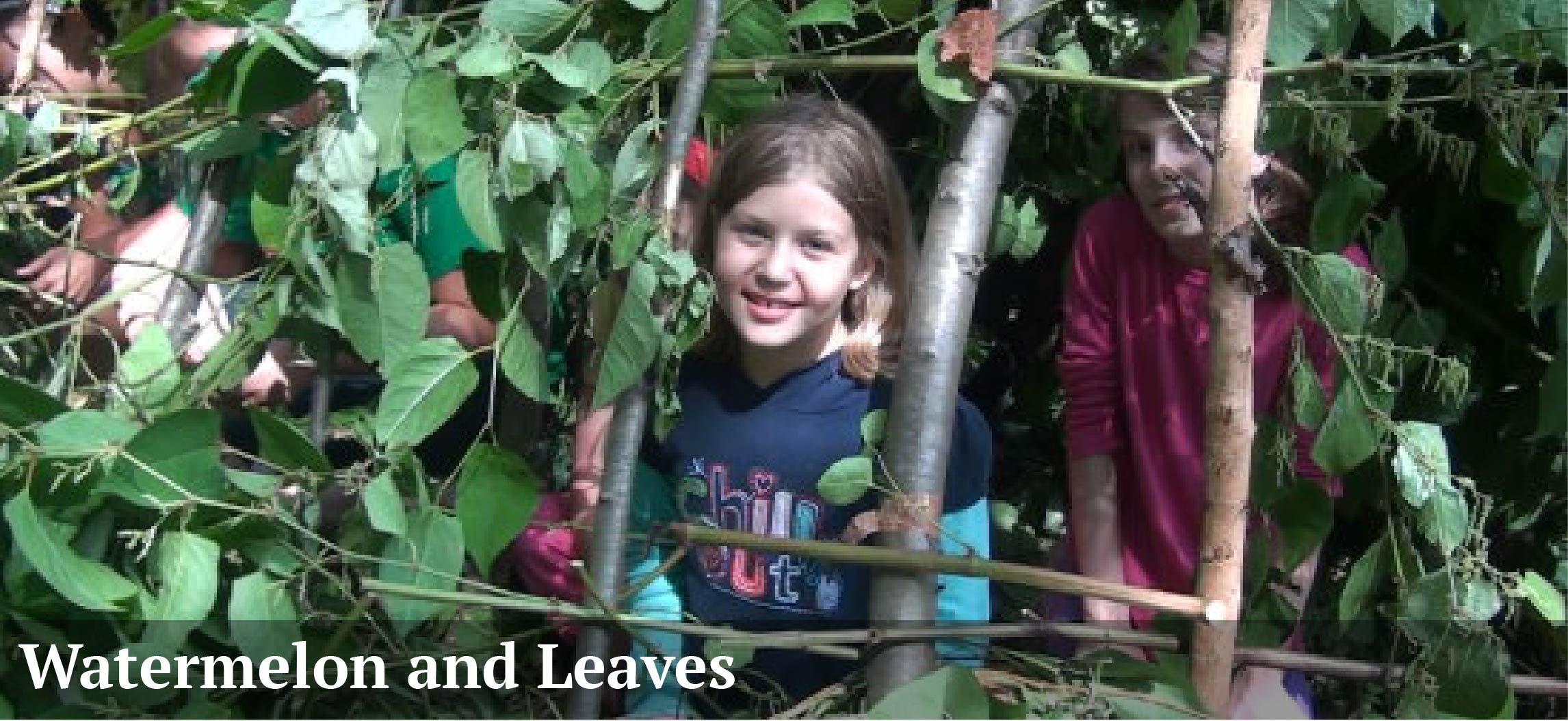 Watermelon And Leaves July 6 2023 Kids Out And About Dallas watermelon-and-leaves-july-6-2023-kids-out-and-about-dallas