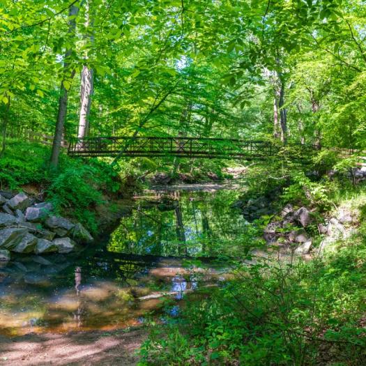 Montgomery Parks - MD | Kids Out and About DMV