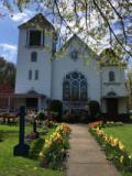 Our spring flowers were spectacular this year!