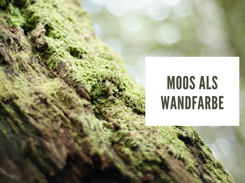 Wandfarben in Moosgrün - Kolorat