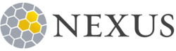 Nexus global logo