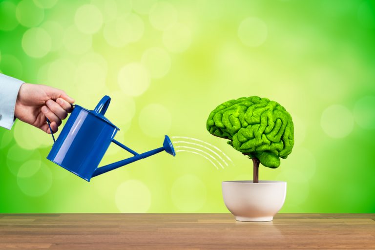 Mindset o que é e como desenvolver a mentalidade do sucesso Klickpages