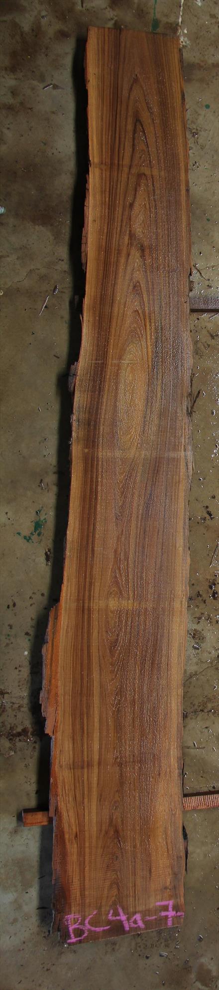 Buried Cypress Slab BC004a-07