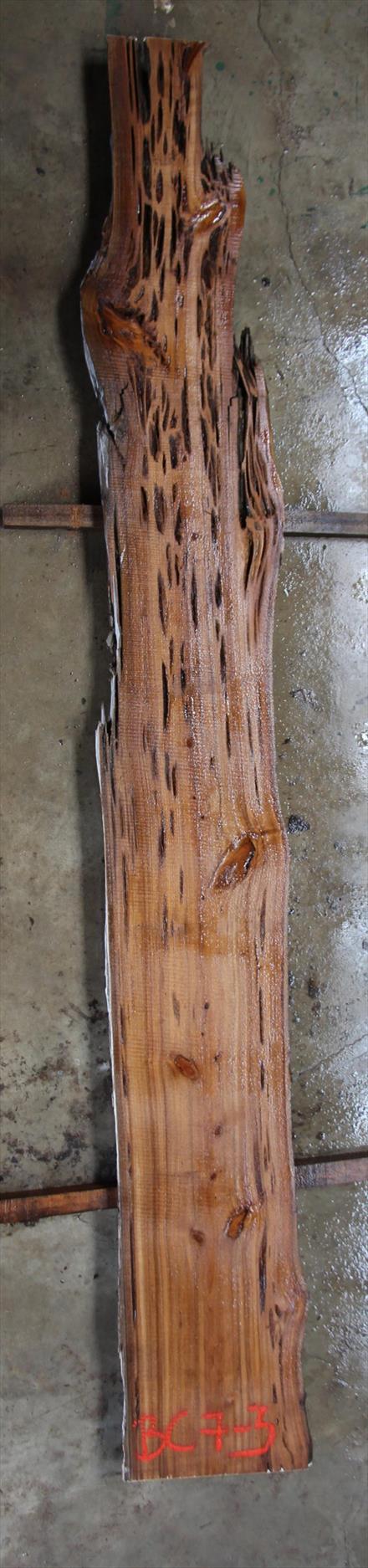 Buried Cypress Slab BC007-03