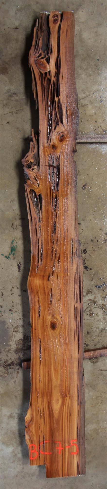 Buried Cypress Slab BC007-05