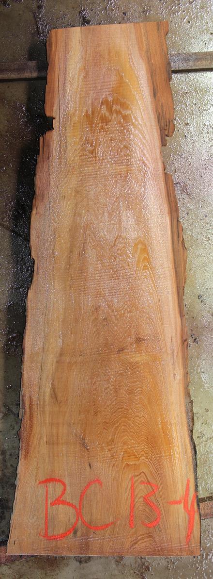 Buried Cypress Slab BC013-04