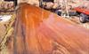 Slabs of Buried Cypress Log BC002