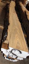 Slabs of Buried Cypress Log BC005