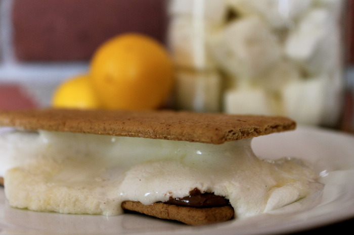 Lemonage  à Trois puffs melting perfectly in a classic S'more.  Stop licking your screen!