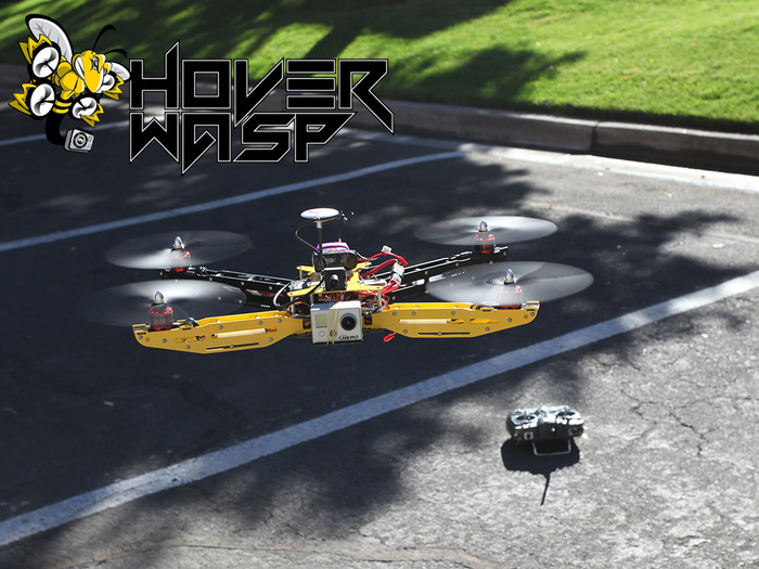 Prototype of the Bad Ass HoverWASP Stinger "VTOL"