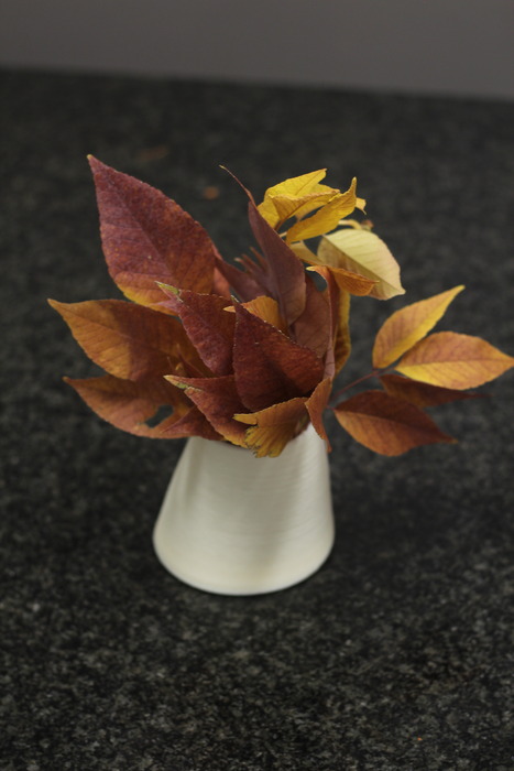 A vase design i downloaded from thingiverse.com printed in ivory ABS