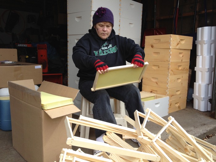 Jon's Mom helping assemble frames. It takes teamwork to get all the equipment ready for the bees.