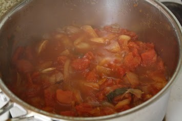 1st Homemade Ketchup