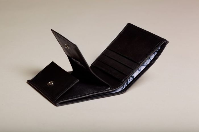 Wallet collection 46° 00 N 9° 00 E