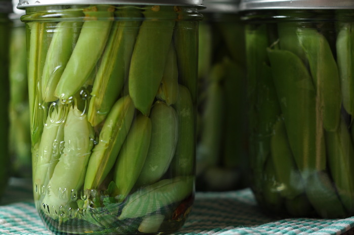 Snap Pea Pickles