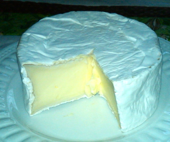 A young Brie - creamy and buttery