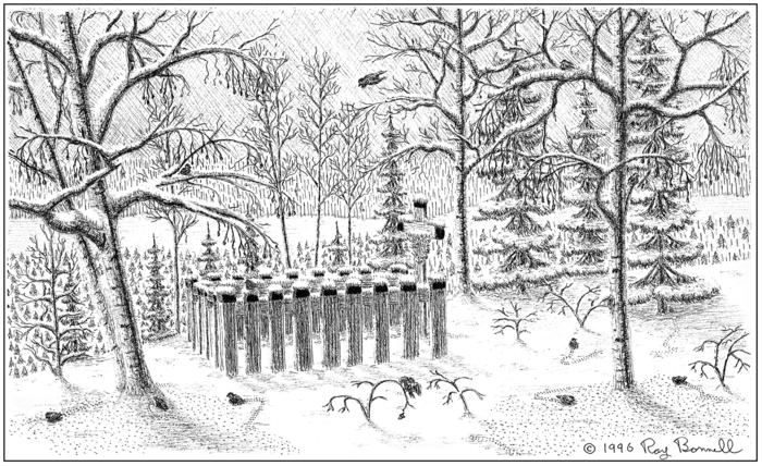Salchaket Native Cemetery