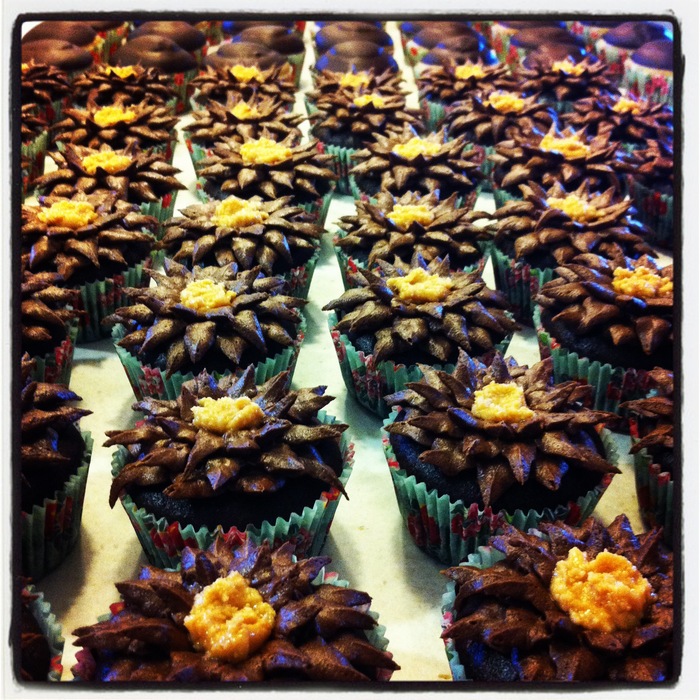 Chocolate Macadamia