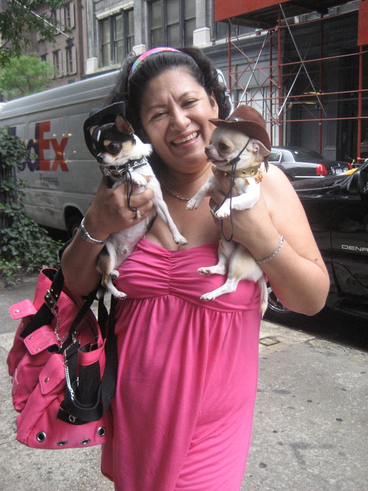 Ada Nieves & two of her chihuahuas