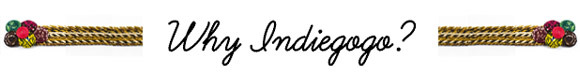 Why Indiegogo Why Indiegogo