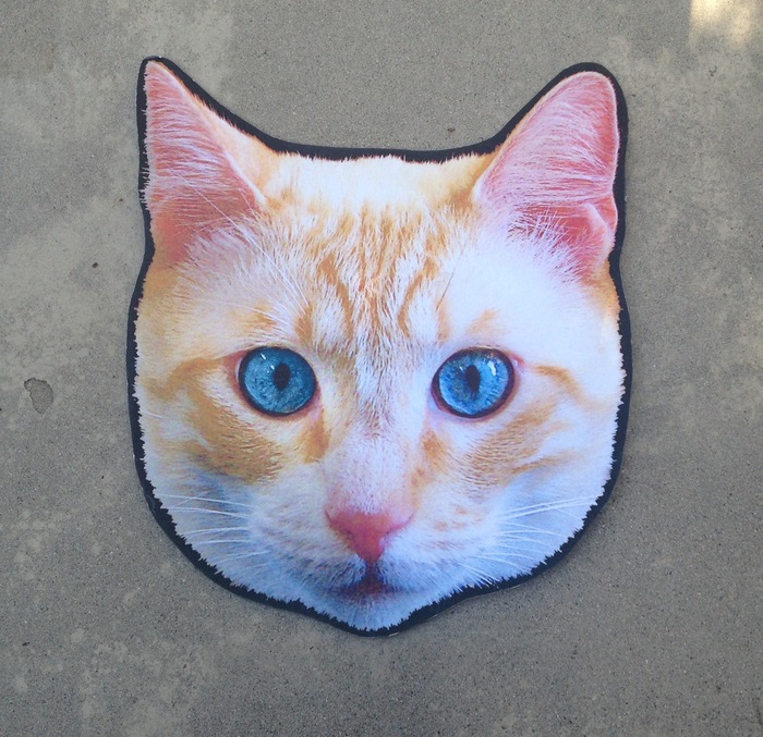Cat Head from 2012 Tour
