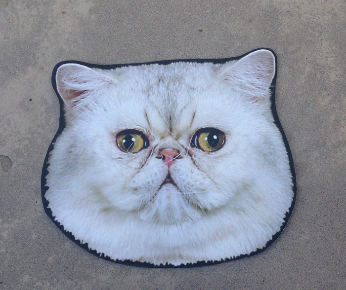 Cat Head from 2012 Tour
