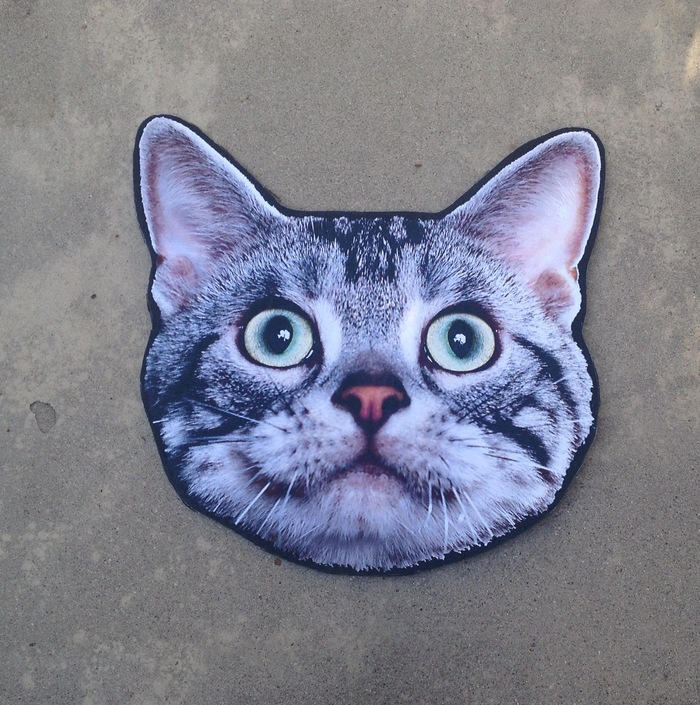 Cat Head from 2012 Tour