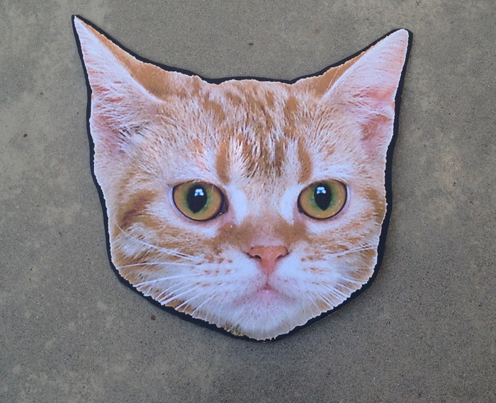 Cat Head from 2012 Tour