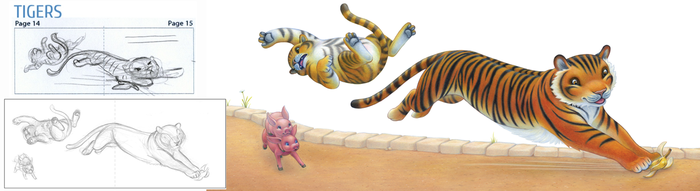 Tigers: from rough sketch to final illustration