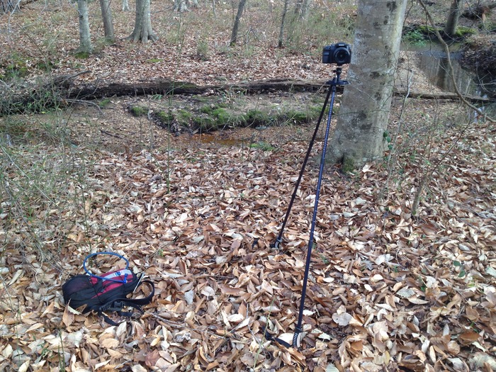2 pole configuration with DSLR mounted - rope attached to camelbak