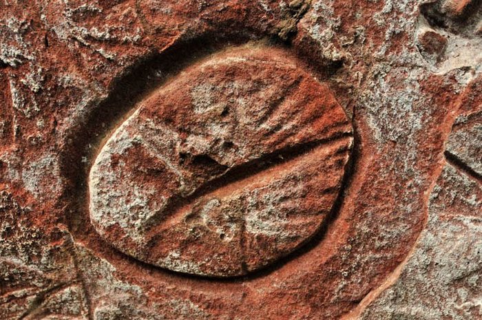 "The eye"