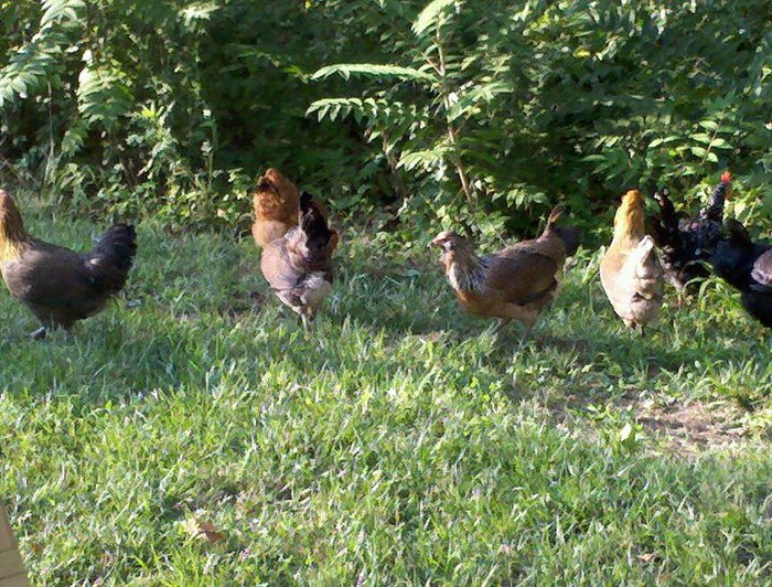 Walking The Land We Have To Give Them