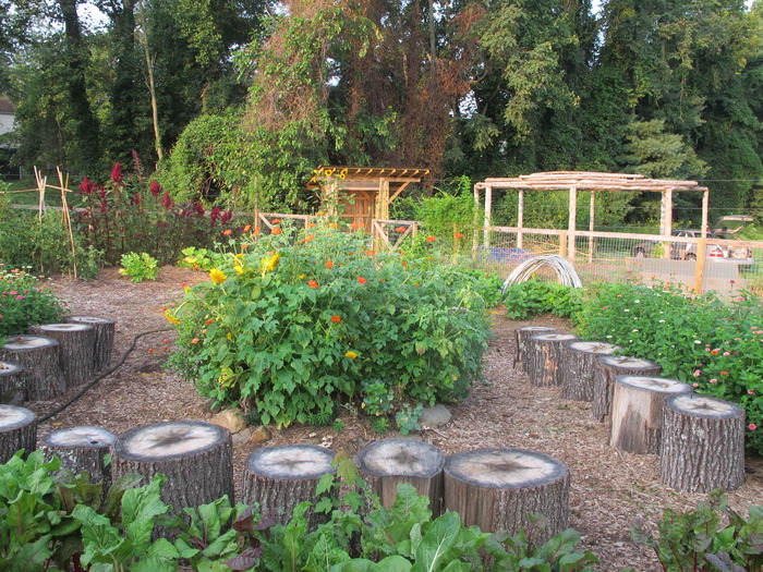 The garden's summer glory.